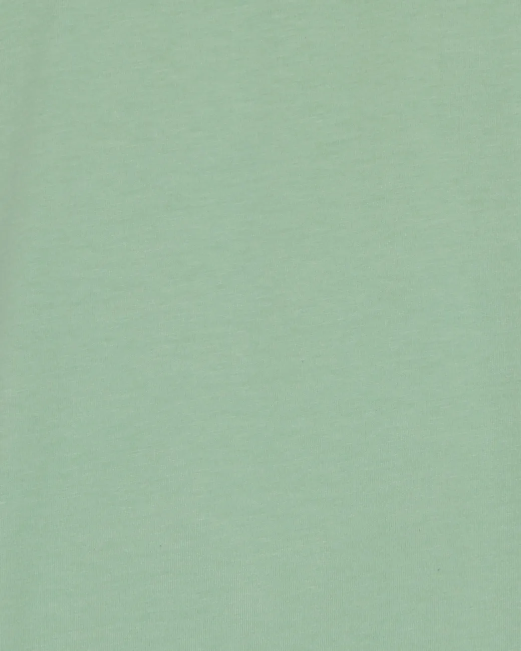 Minimum T-Shirts | Aarhus short sleeved t-shirt G029 GOTS - Arcadian Green ArcadianGreen